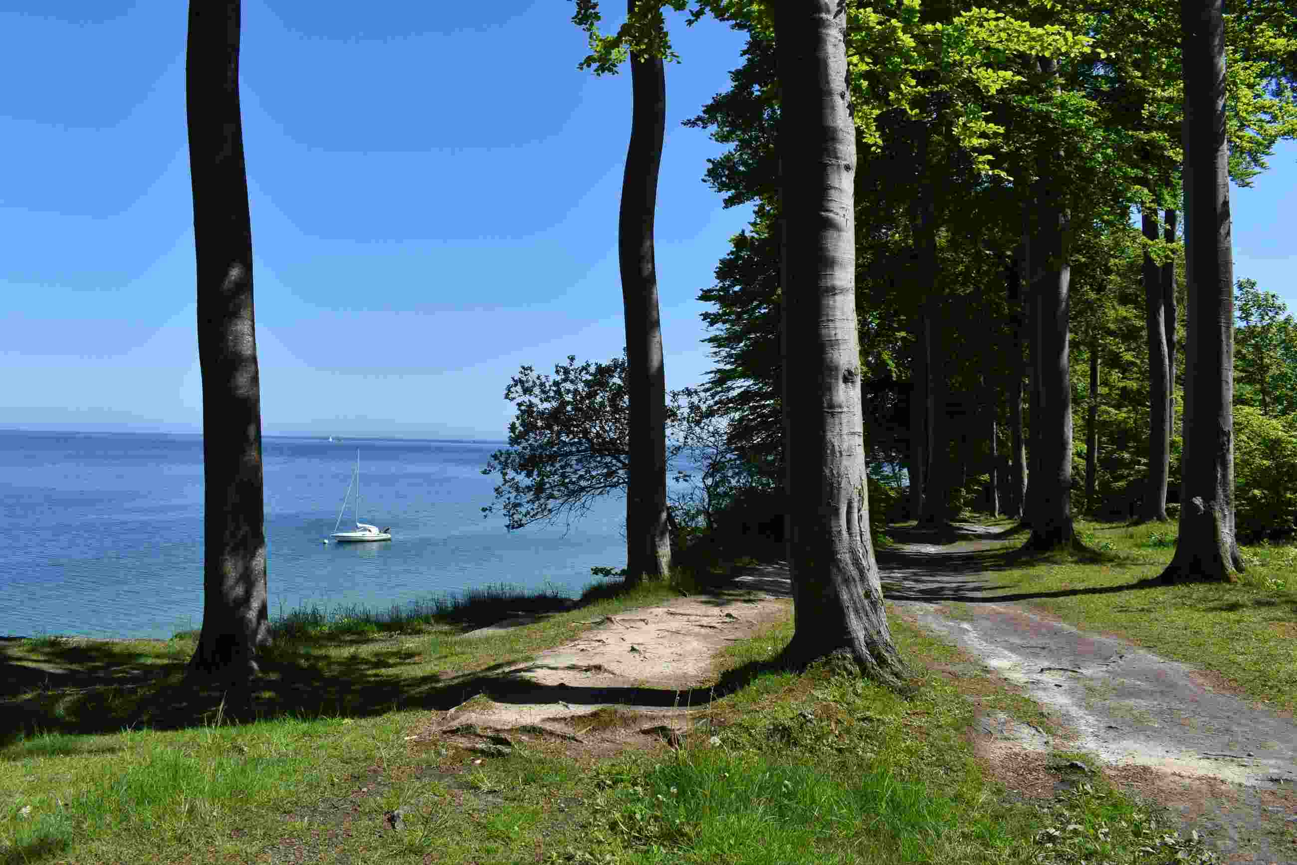 Die Natur in Kerteminde